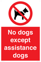 no-dogs-except-assistance-dogs~